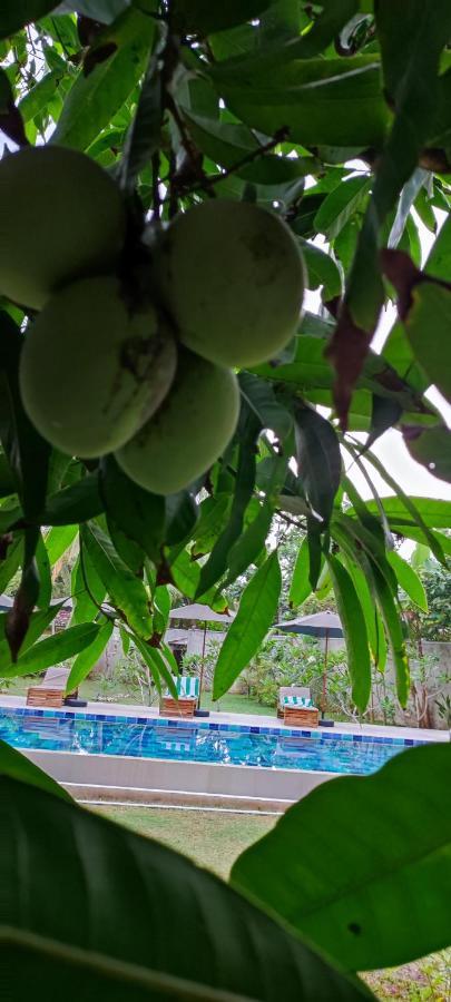 Mango Tree Villa Бентота Екстер'єр фото